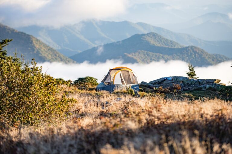 Discover the Best Tourist Camps at Camping Las Ardane