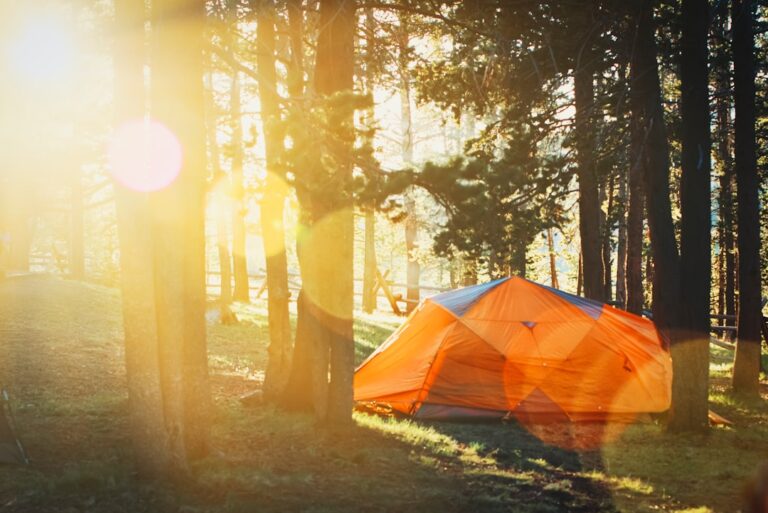 Unforgettable Memories Await You at Camping Las Ardane Campsites